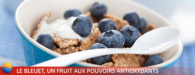 Le Bleuet (Berry), un fruit aux pouvoirs antioxydants