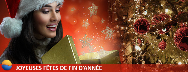 Joyeuses fêtes de fin d'année aux Cercles de la Forme