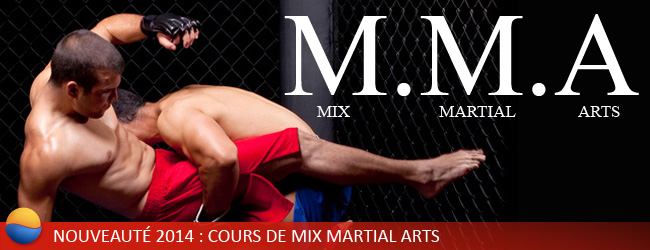 Cours de MMA aux Cercles de la Forme sur Paris et Châtillon