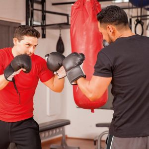 Savate boxe française