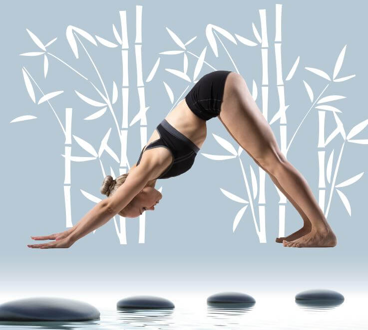 Stage de Yoga Vinyasa au Cercle Nation à Paris : Les Cercles de la Forme