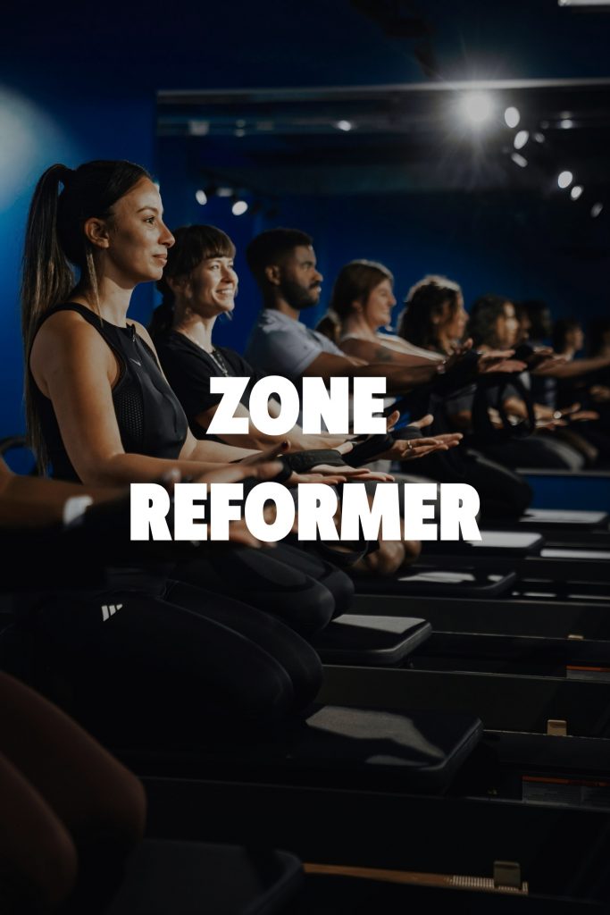 ZONE REFORMER - 1